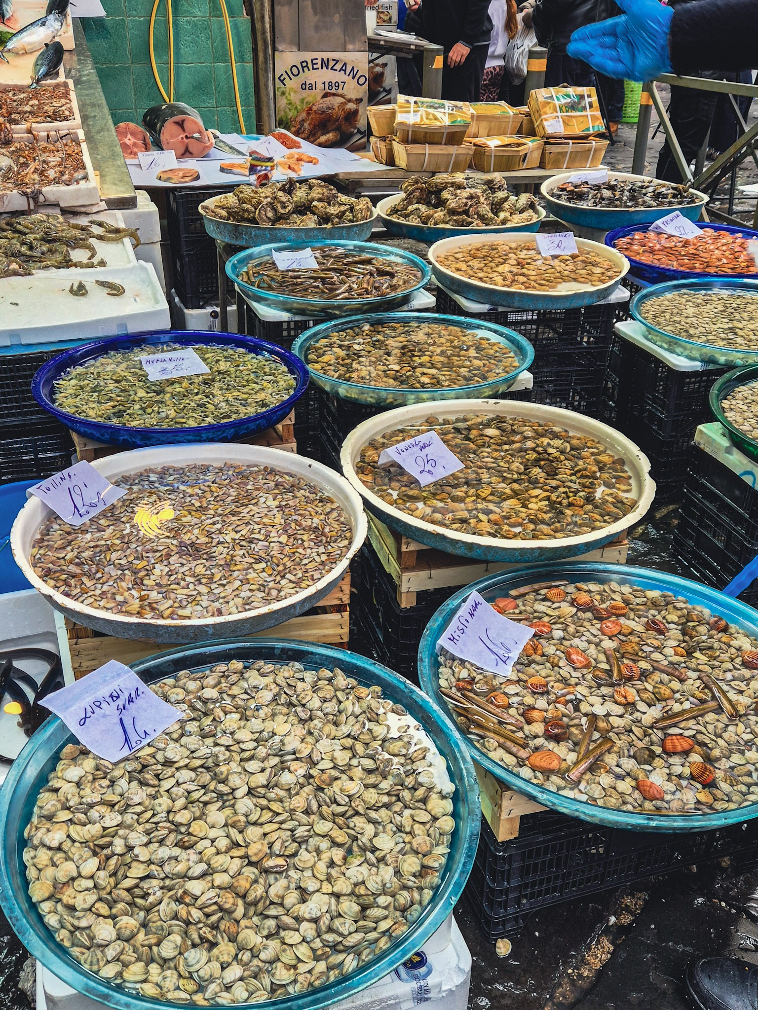 croisiere couture gastronomie 1