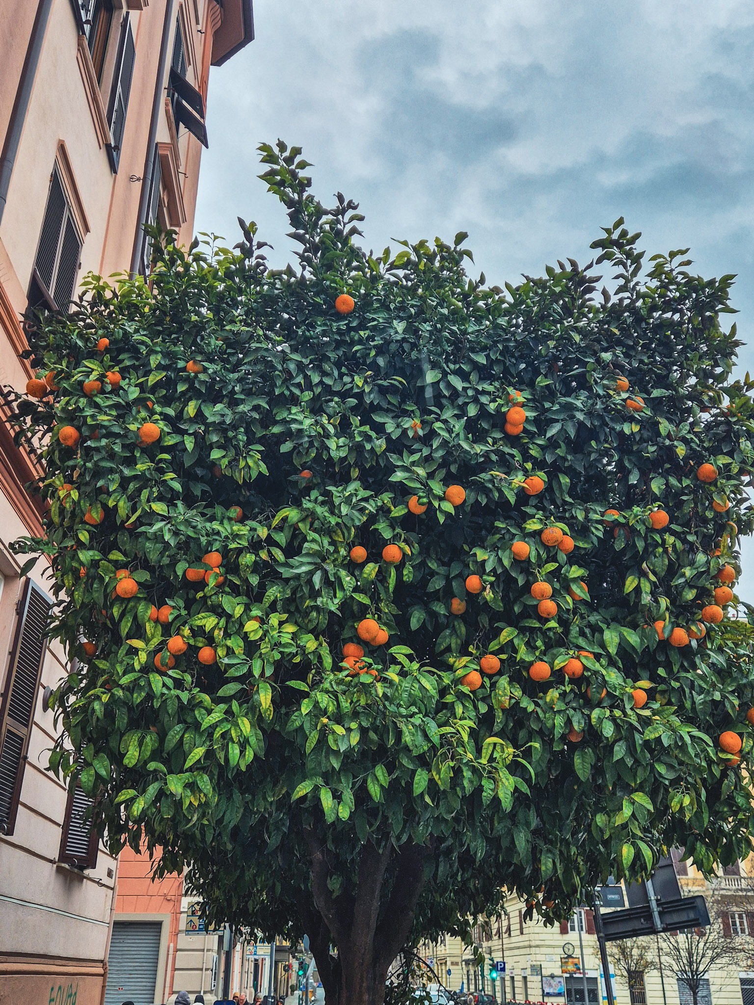 croisieres creatives la spezia 9