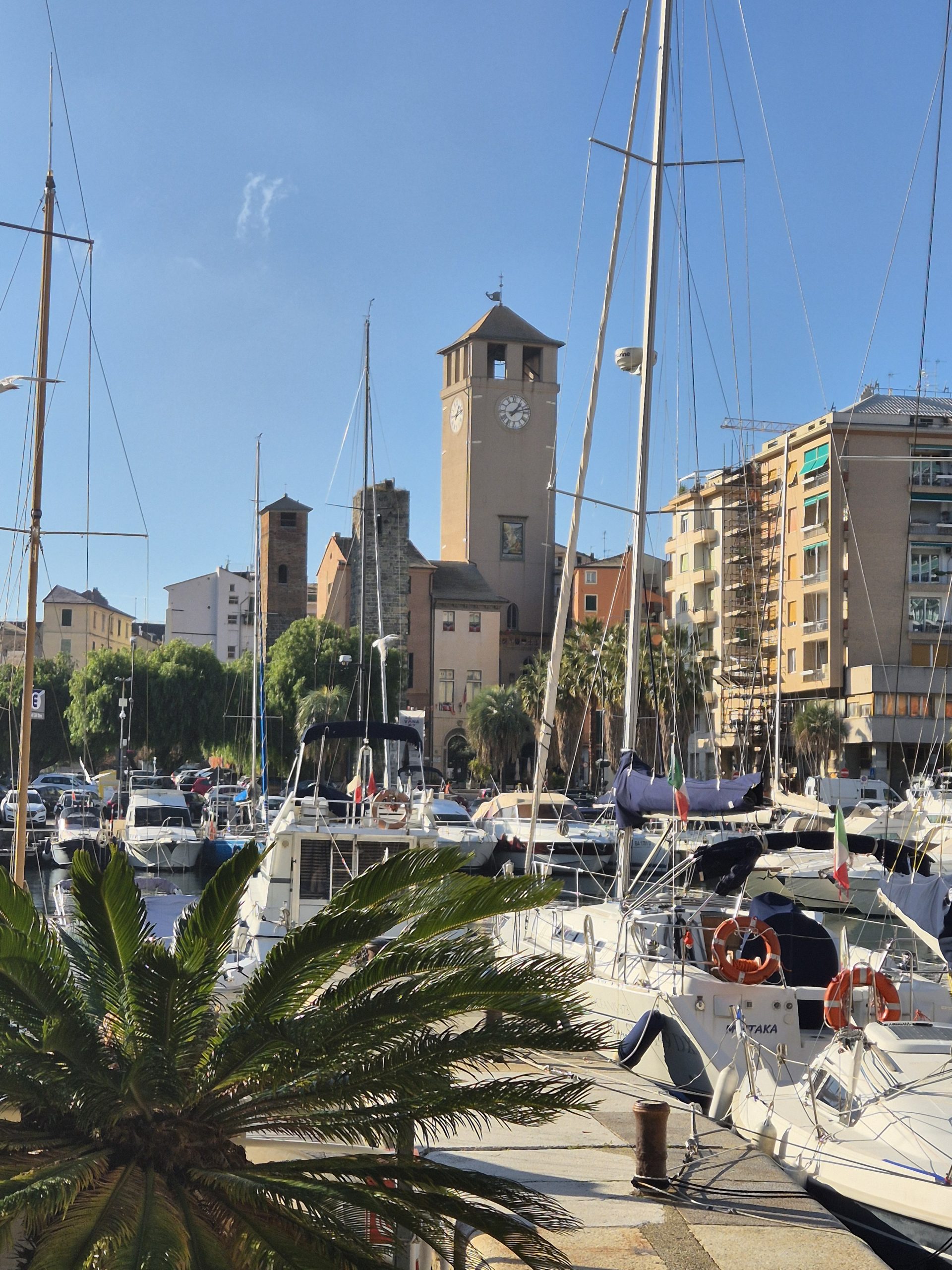 croisieres creatives savone 6