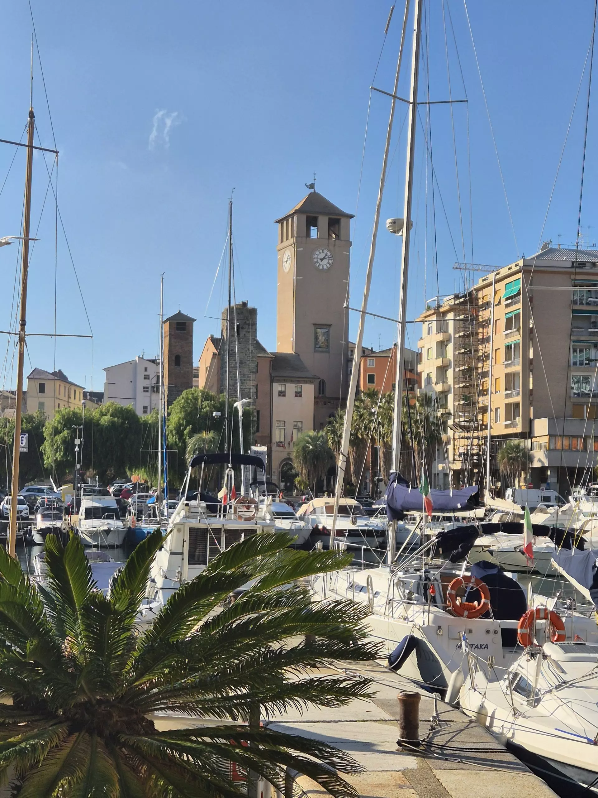 croisieres creatives savone 6