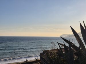 croisieres creatives savone 9