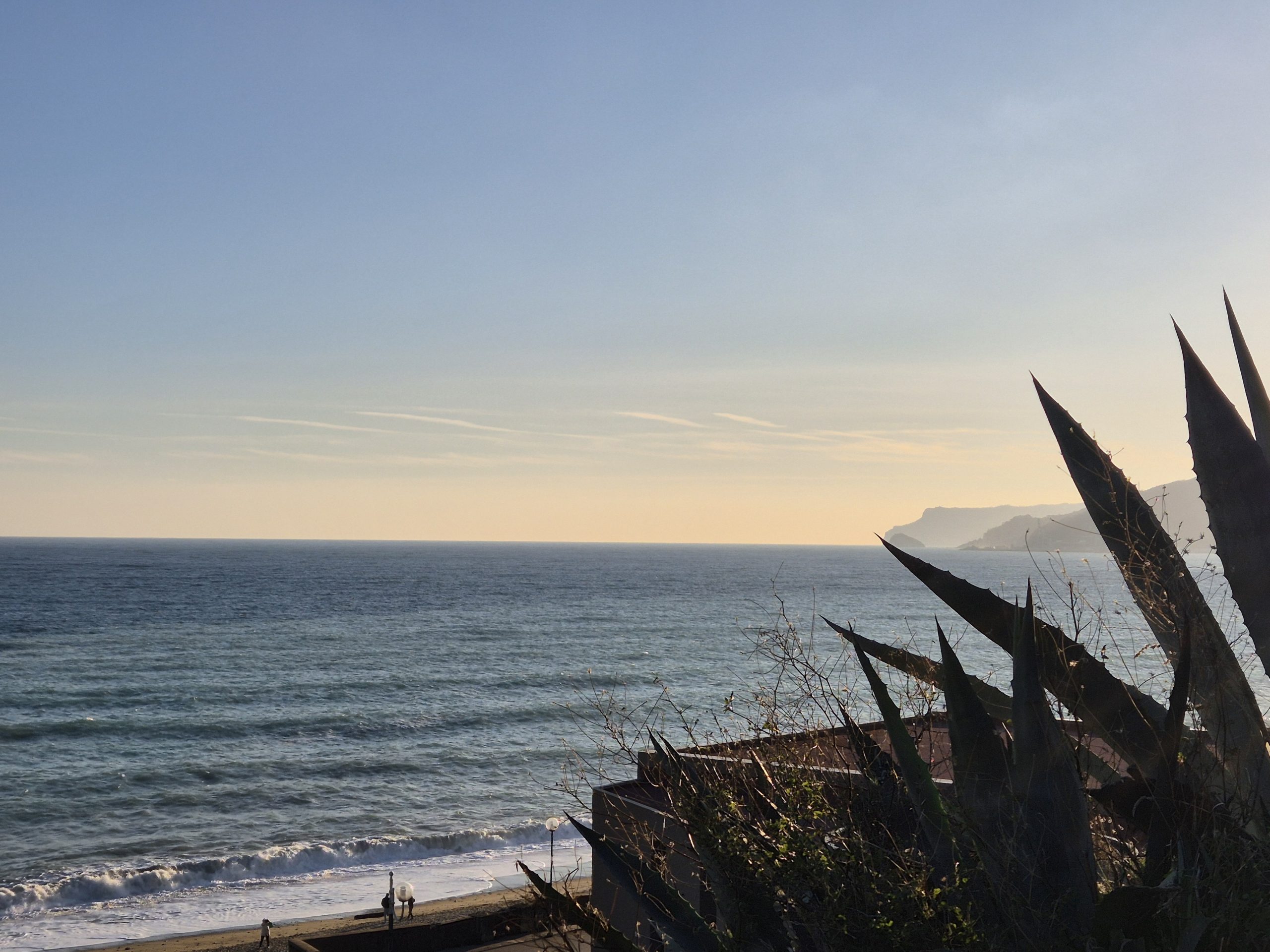 croisieres creatives savone 9