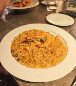 plat1